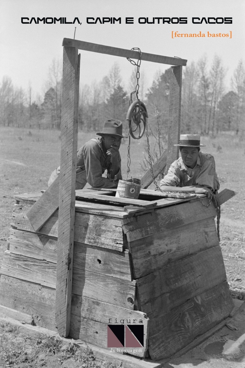 camomila capim e outros cacos definitiva  capa pro site.jpg