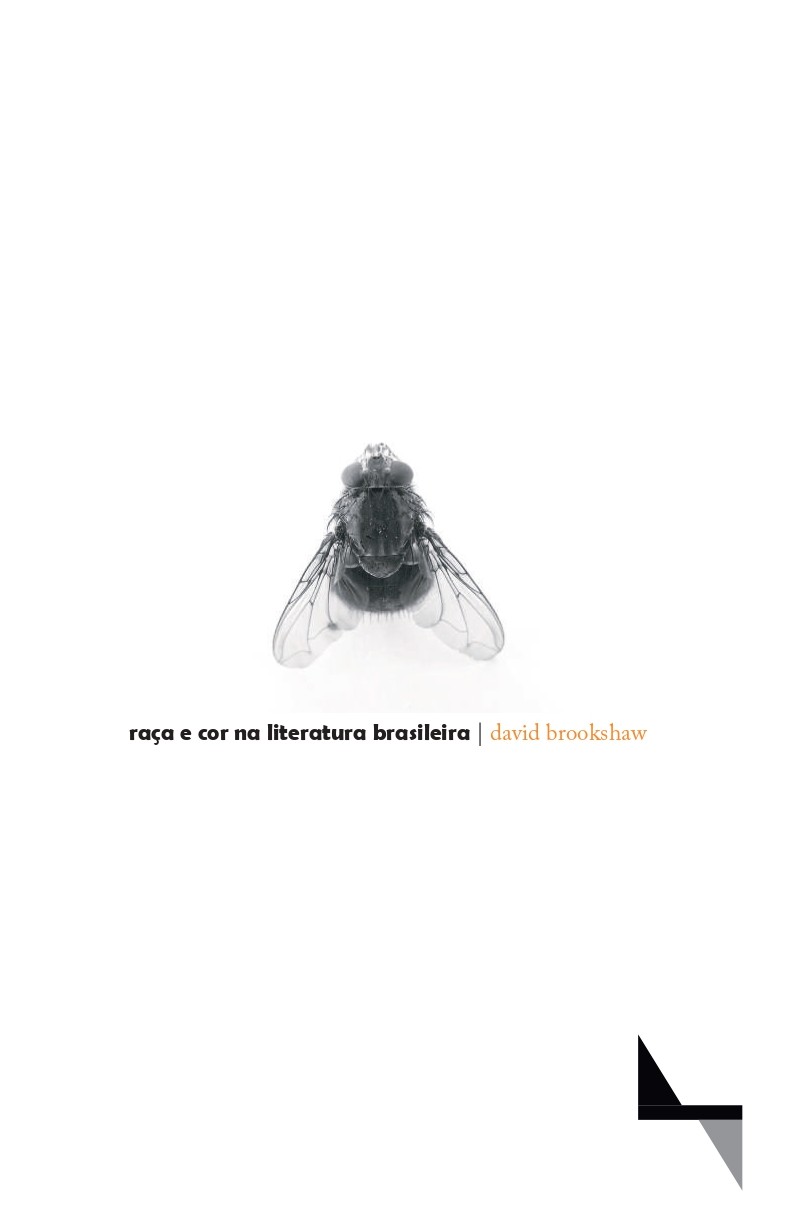 raça e cor na literatura brasileira site.jpg